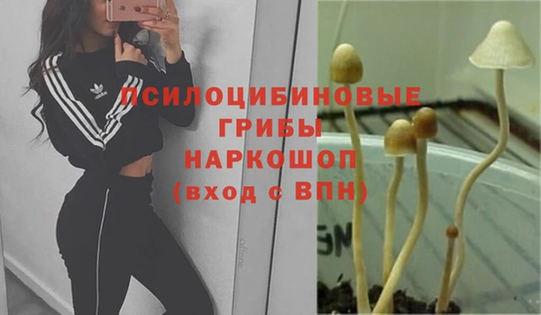 синтетический гашиш Аркадак