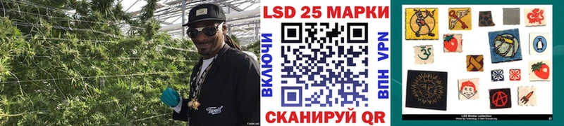продажа наркотиков  это Telegram  Наркотические марки 1,8мг  Озёры 